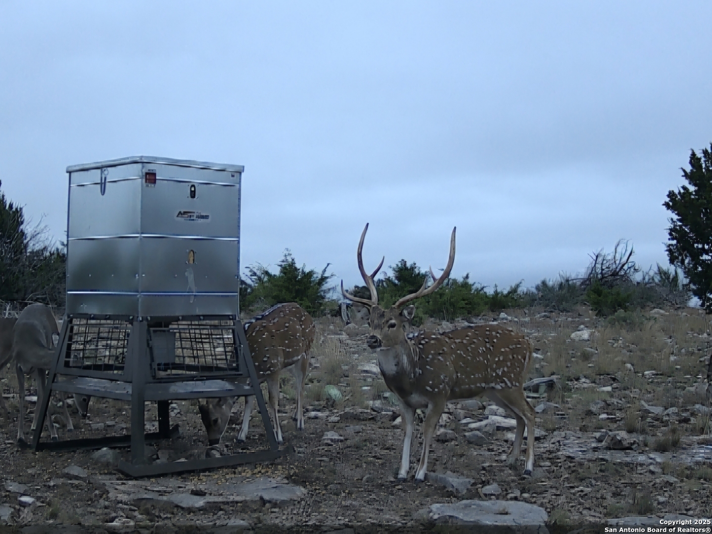 Tbd West Tbd W Nueces Ranch Rocksprings, TX 78880 - Photo 6 of 45