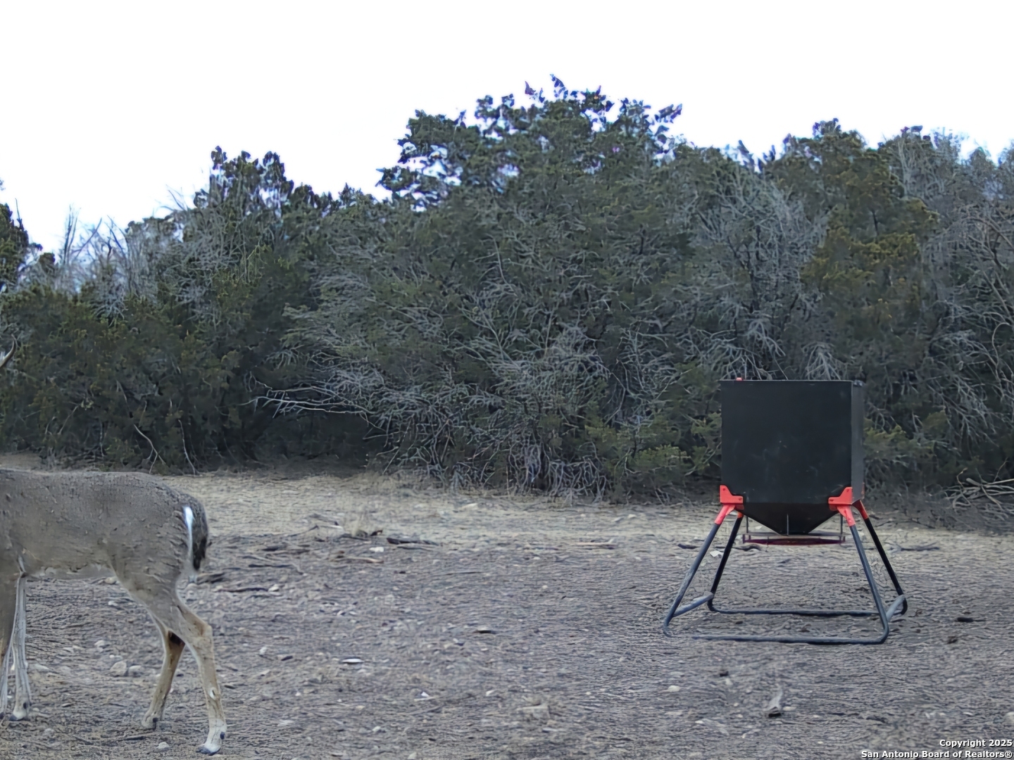 Tbd West Tbd W Nueces Ranch Rocksprings, TX 78880 - Photo 7 of 45