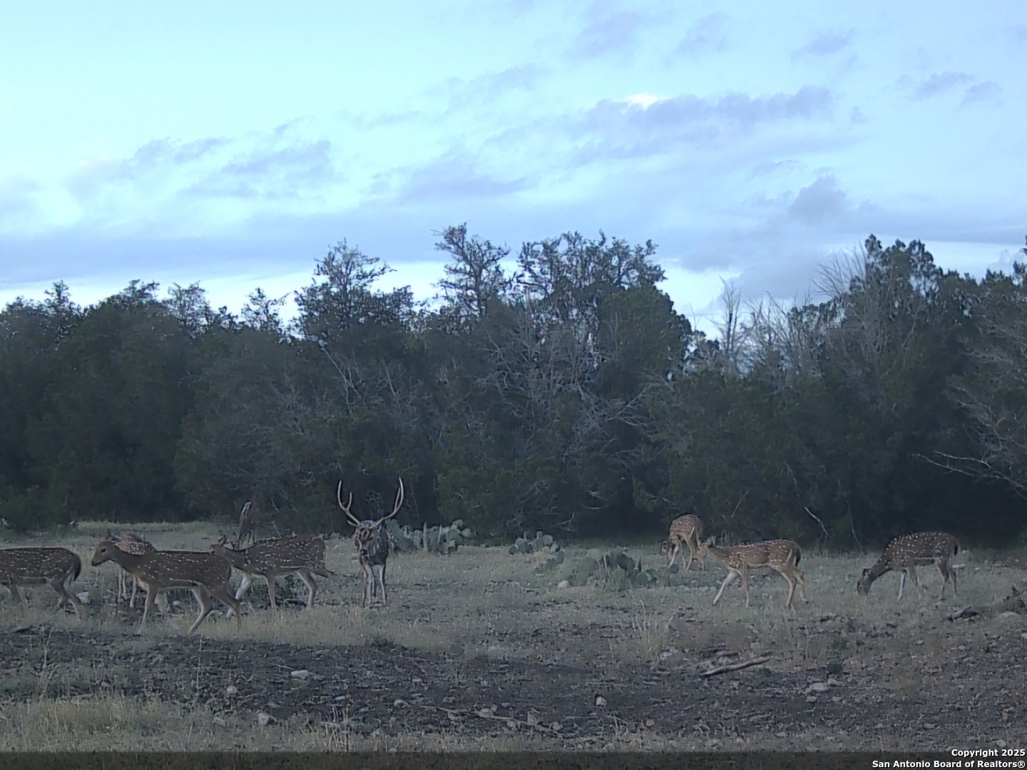 Tbd West Tbd W Nueces Ranch Rocksprings, TX 78880 - Photo 8 of 45