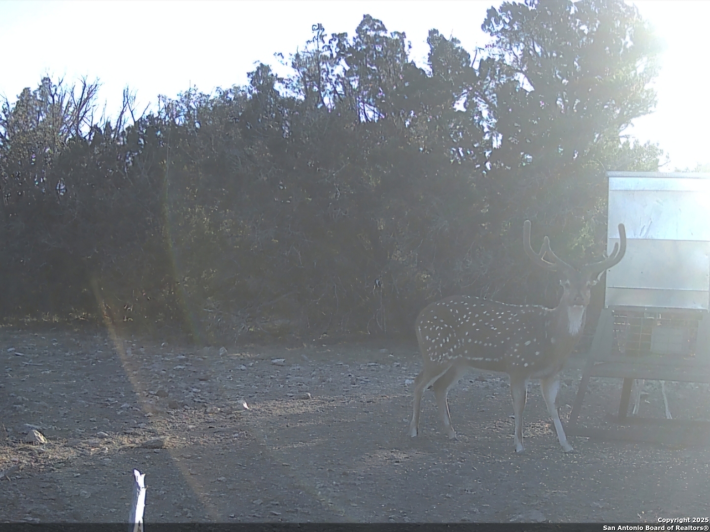 Tbd West Tbd W Nueces Ranch Rocksprings, TX 78880 - Photo 9 of 45