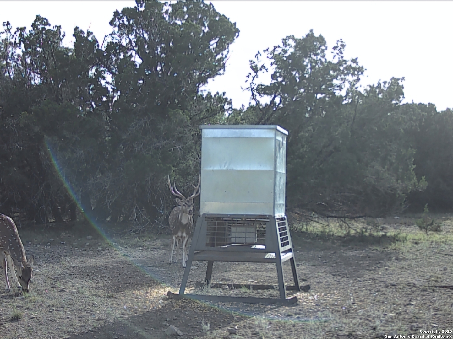 Tbd West Tbd W Nueces Ranch Rocksprings, TX 78880 - Photo 10 of 45