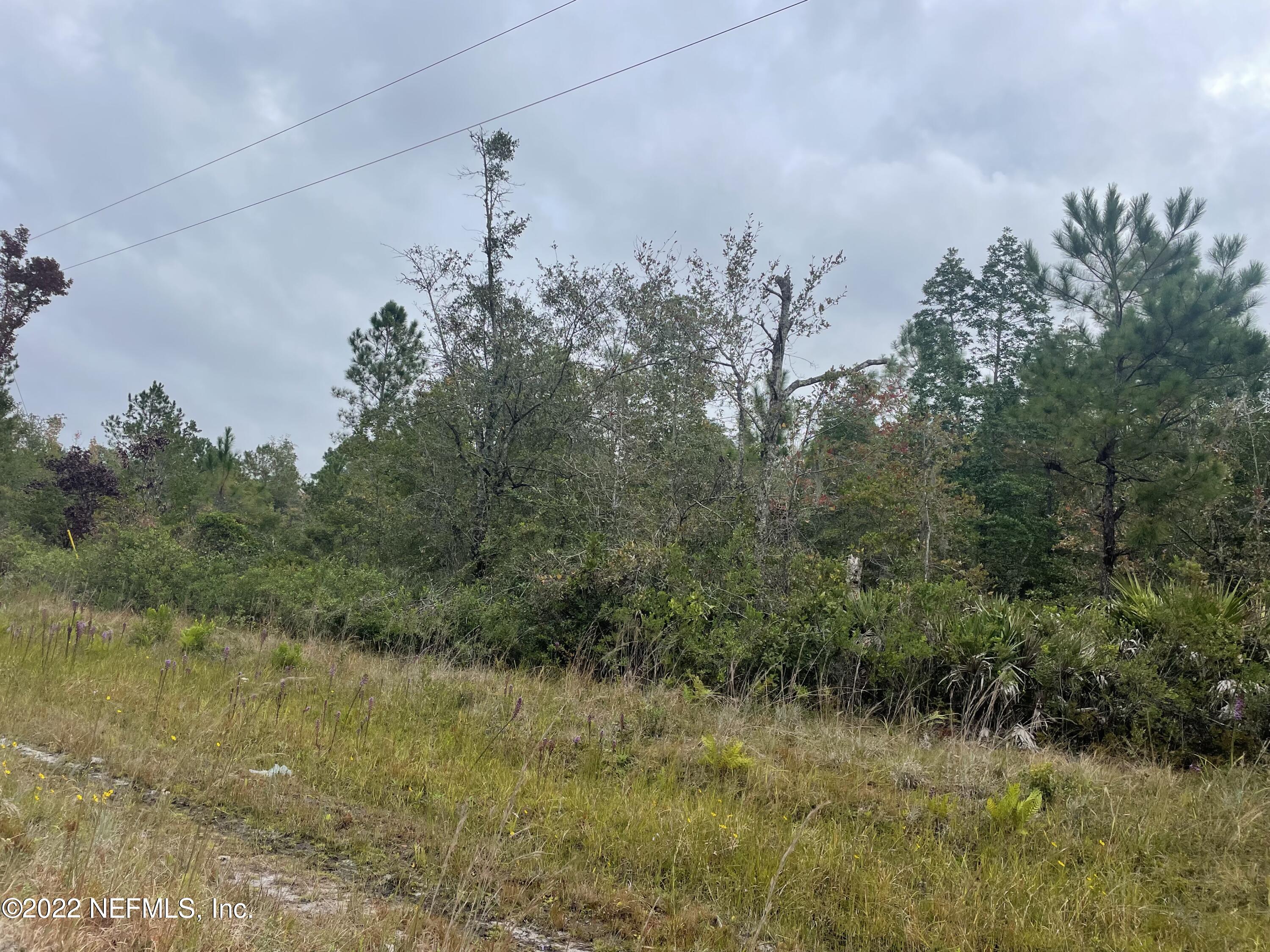 0 Retreat Road Keystone Heights, FL 32656 - Photo 5 of 6 Property