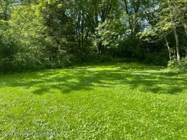 a view of a green yard