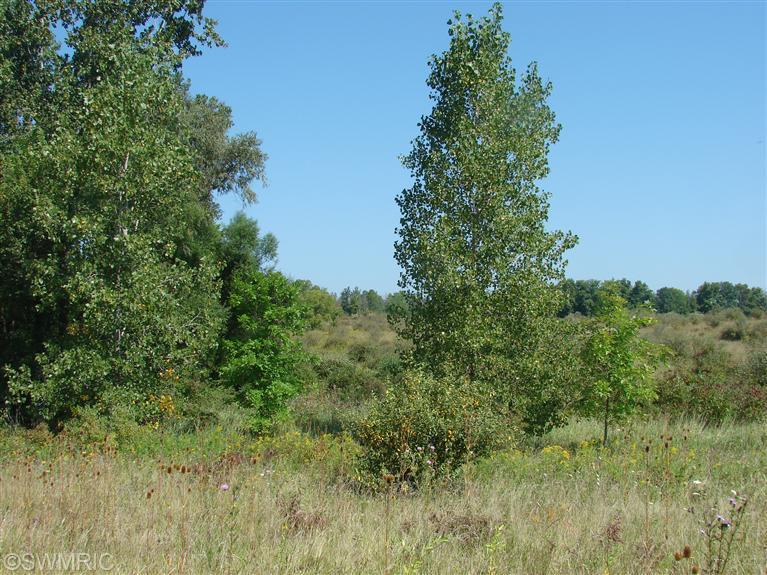2804 East Territorial Road Camden, MI 49232 - Photo 2 of 4 Additional Photo