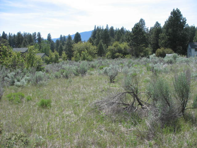 Irving Way, Unit 3 Chiloquin, OR 97624 - Photo 5 of 10 2019-06-10 16.01.35