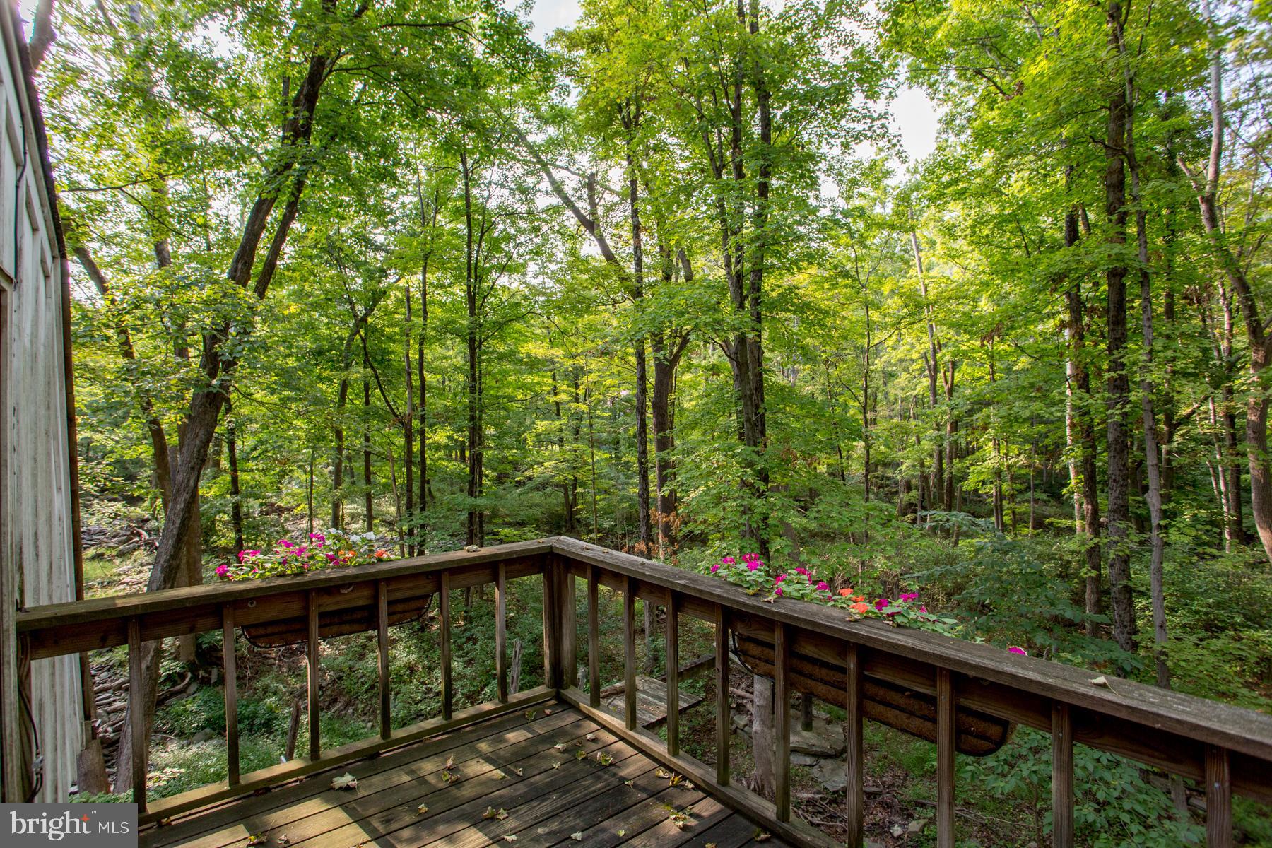 5131 Toll Gate Road Pipersville, PA 18947 - Photo 48 of 53 View from 2nd floor deck