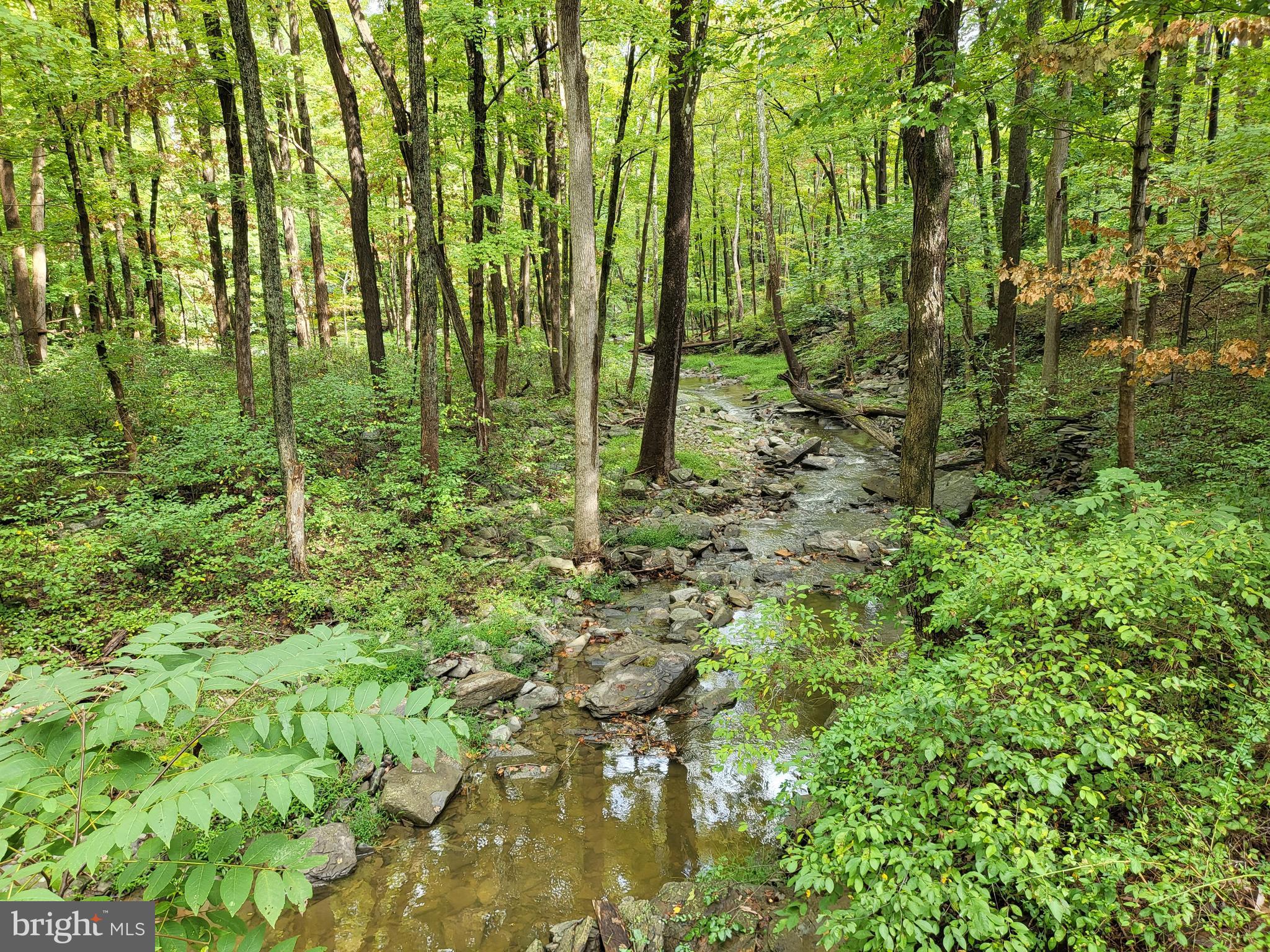 5131 Toll Gate Road Pipersville, PA 18947 - Photo 50 of 53 Geddes Run creek when water is flowing