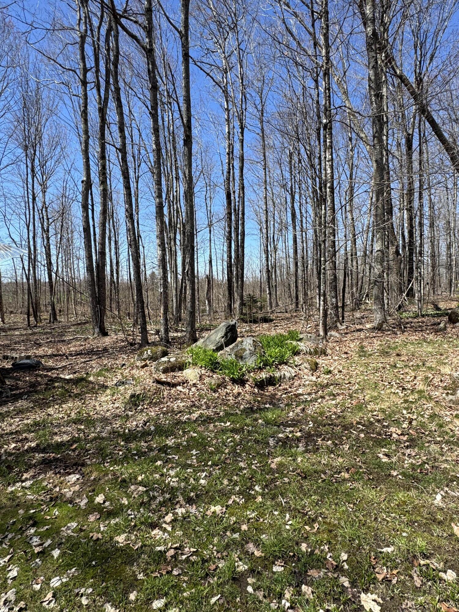 76 Norton Hill Road Dover-Foxcroft, ME 04426 - Photo 50 of 60 IMG_1617