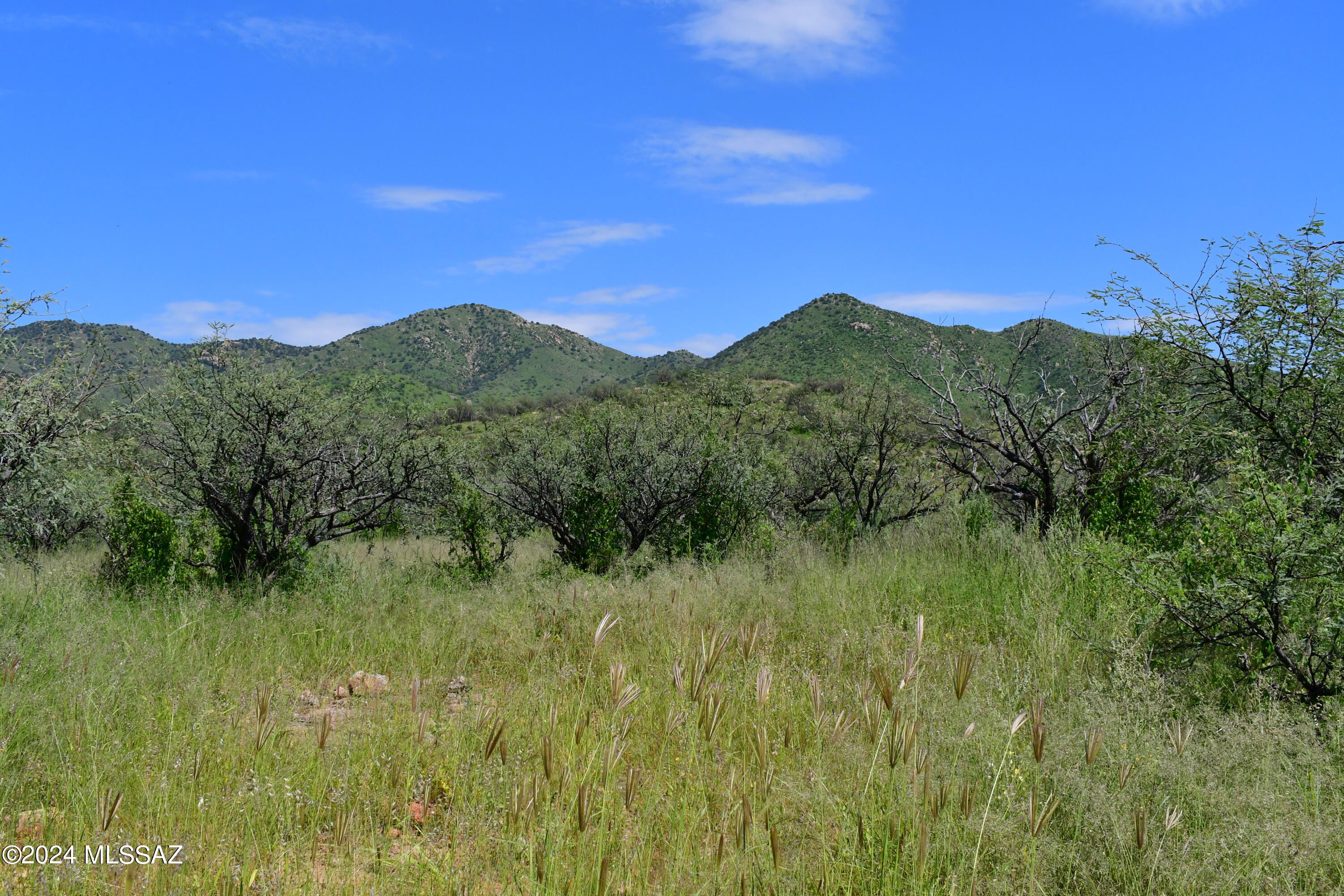 Tbd Tbd Mesquite Trail, Unit 131 Rio Rico, AZ 85648 - Photo 2 of 14 Gallery Image 2