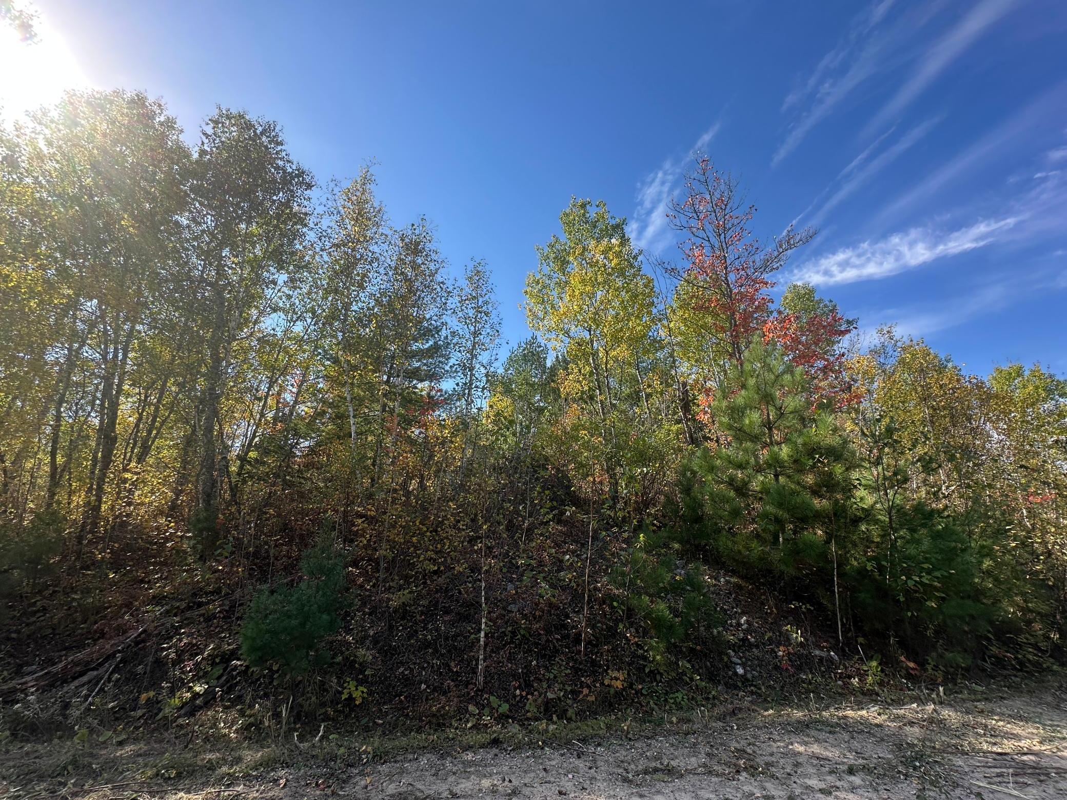 Lot 7 Wilderness Way Road Orr, MN 55771 - Photo 3 of 8