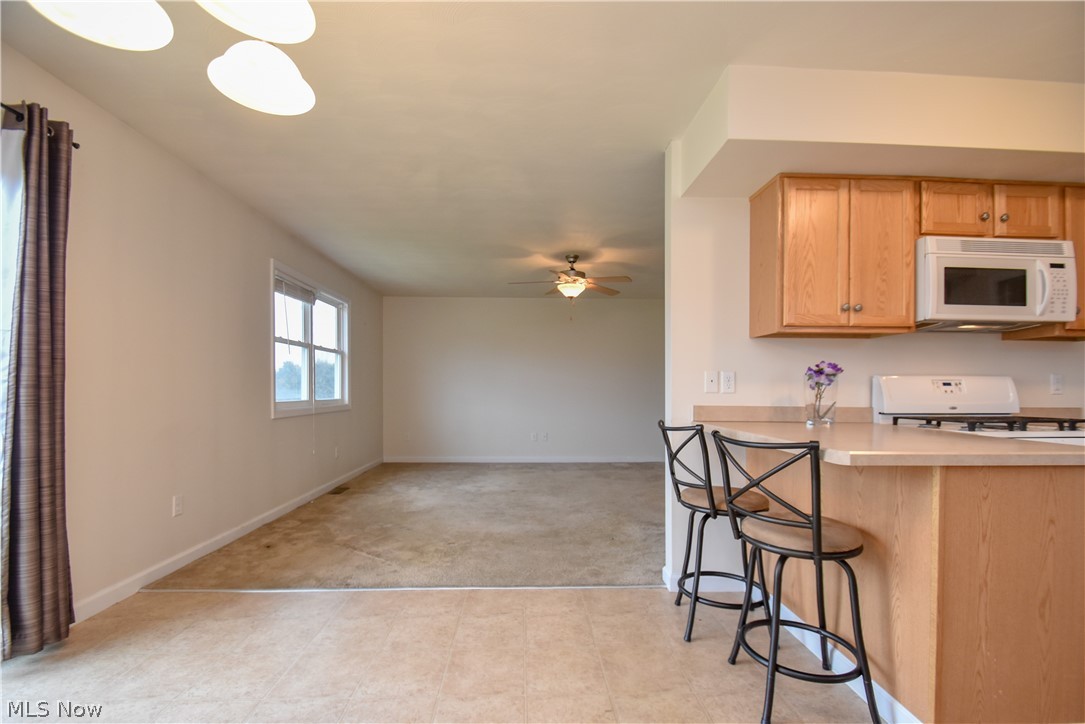 4850 Kirk Road Austintown, OH 44515 - Photo 7 of 29 Gallery Image 7
