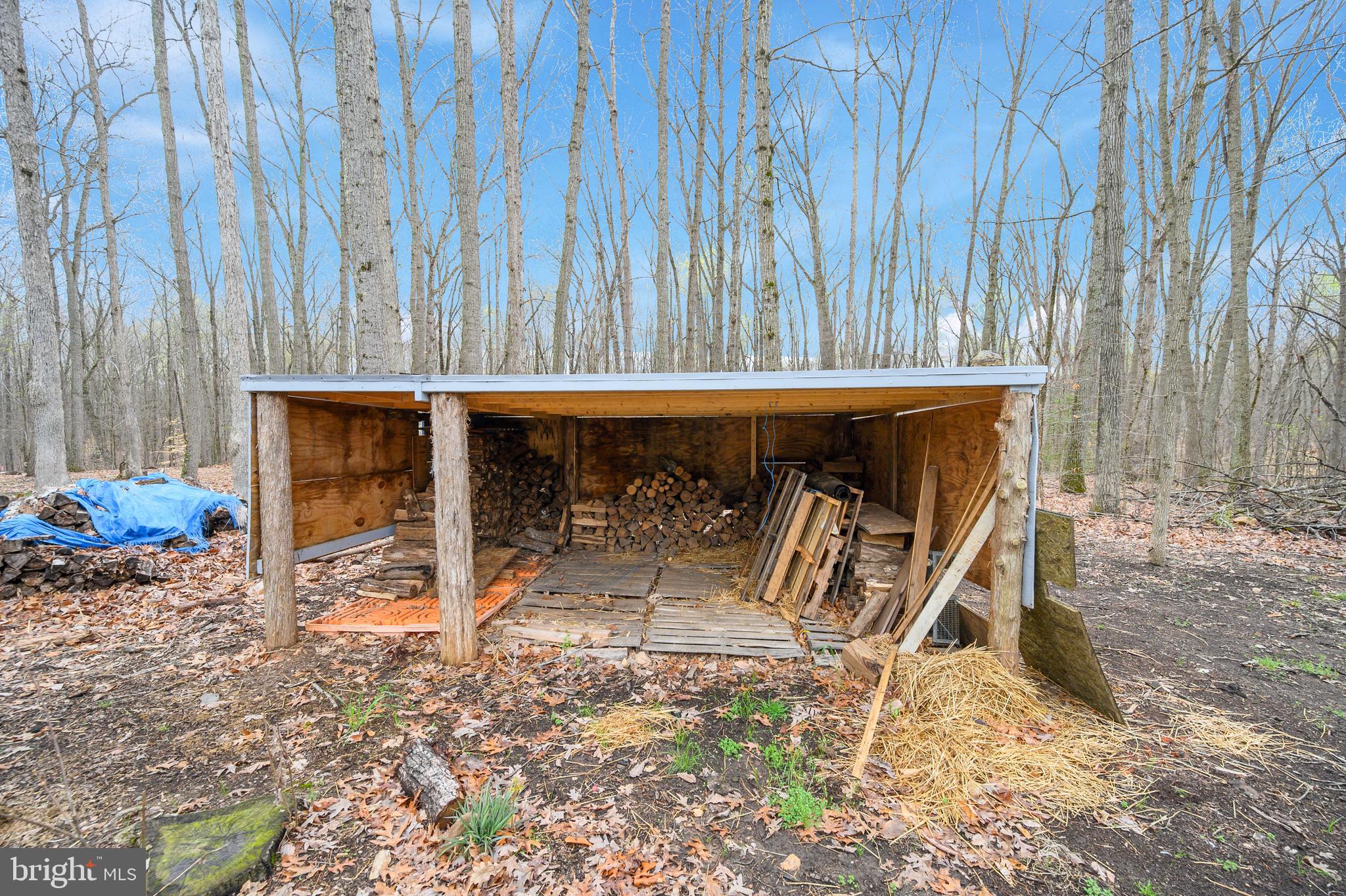 12489 Tower Road Unionville, VA 22567 - Photo 11 of 46 Wood shed