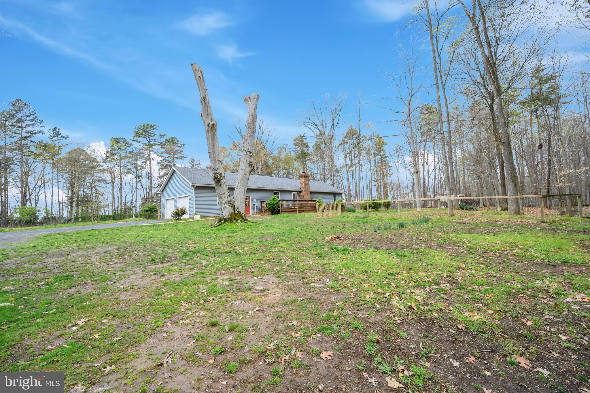 12489 Tower Road Unionville, VA 22567 - Photo 13 of 46 Back yard view