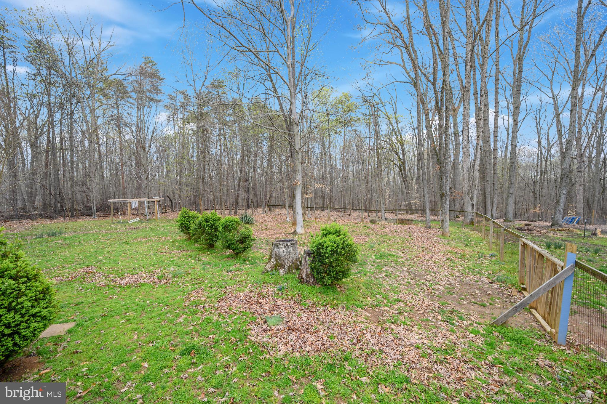 12489 Tower Road Unionville, VA 22567 - Photo 19 of 46 Back yard