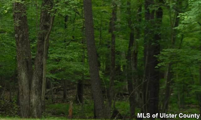 170 Ruby Road, Unit SAWKILL Kingston, NY 12401 - Photo 1 of 1 Photo 1