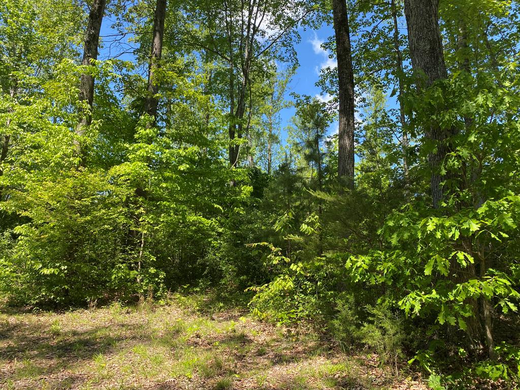 630 Mountain Hall Road, Unit 27D Crewe, VA 23930 - Photo 15 of 39 Gallery Image 15