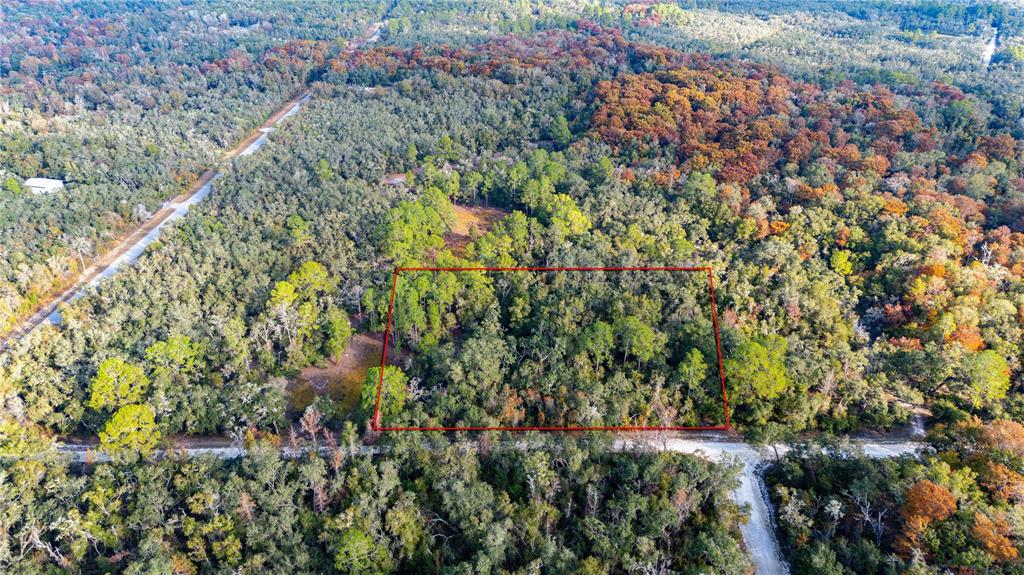 0 Rose Bloom Avenue Webster, FL 33597 - Photo 12 of 13