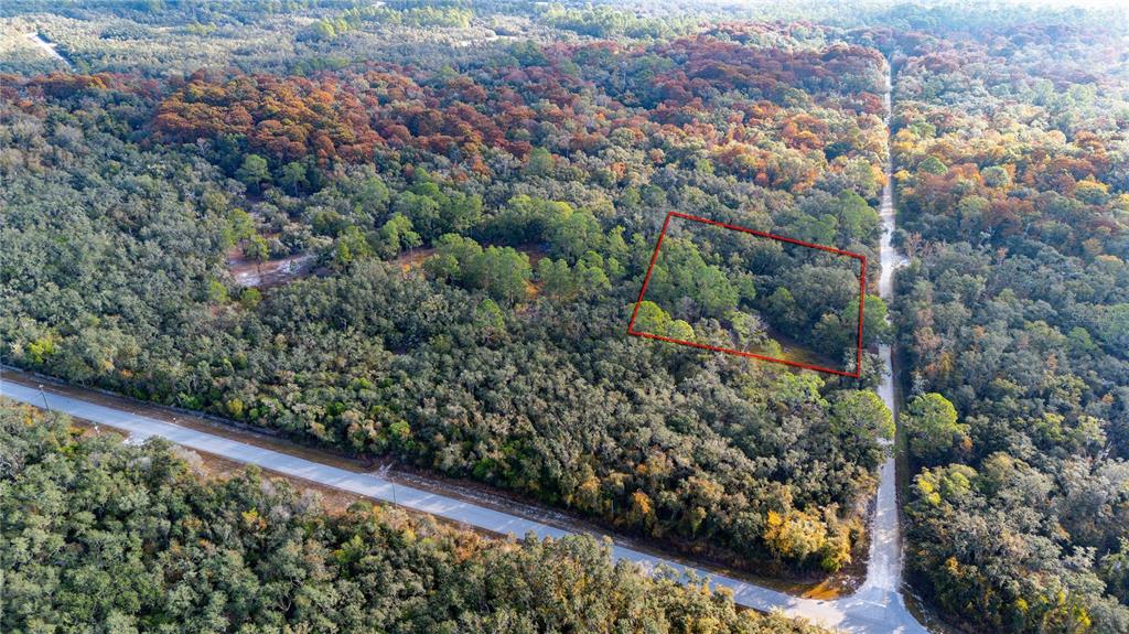 0 Rose Bloom Avenue Webster, FL 33597 - Photo 4 of 13
