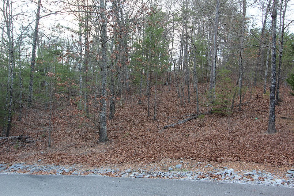 Gallery Image 6