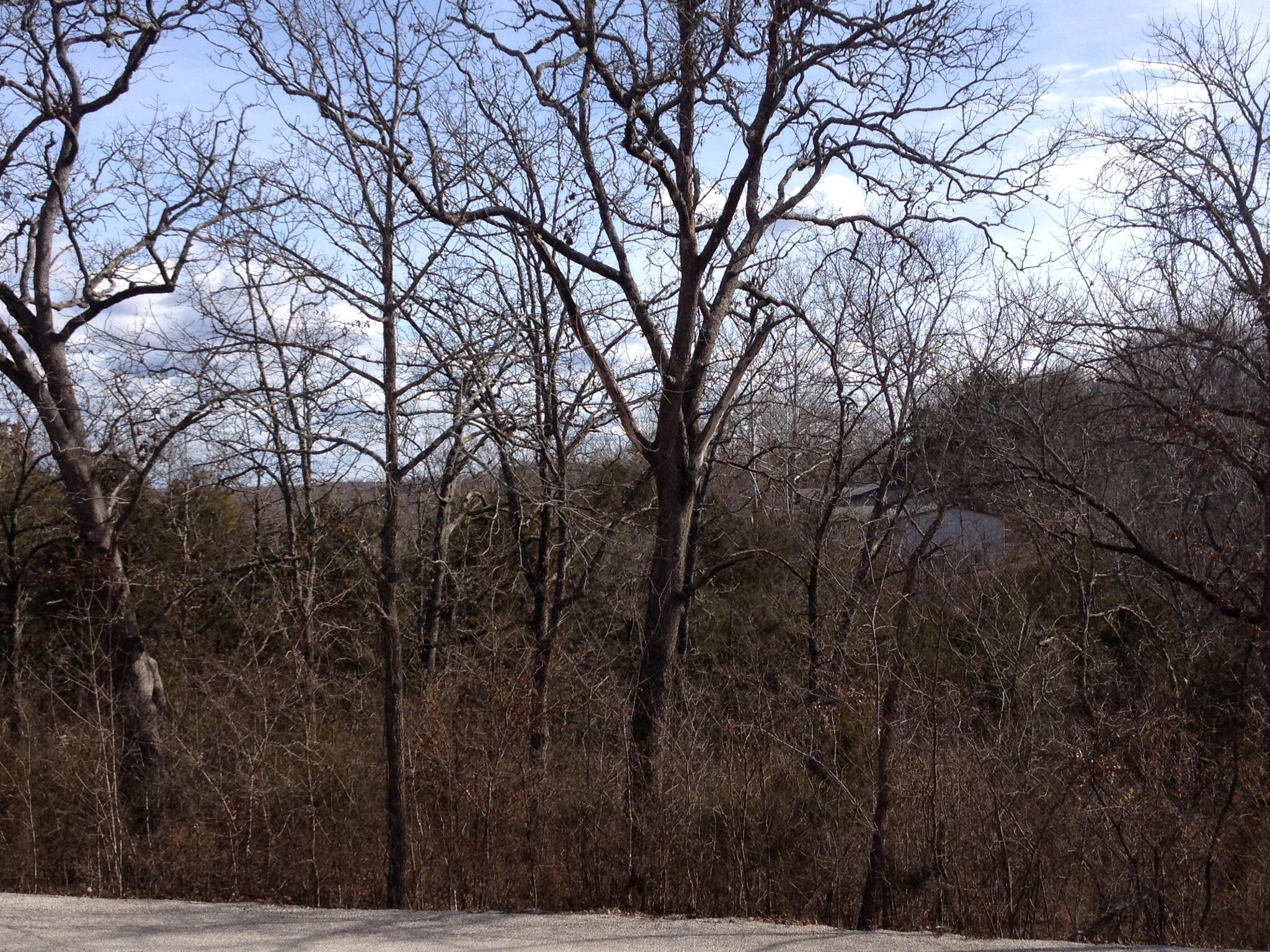 0 Bluejay Road Rockaway Beach, MO 65740 - Photo 1 of 1 IMG_0020_2