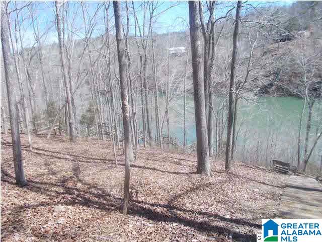 1356 County Road 3782 Arley, AL 35541 - Photo 12 of 14