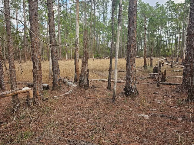 $84,900 | Tbd Chinaberry Street, Eustis, FL 32736