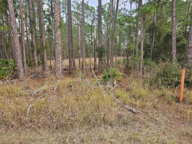 $84,900 | Tbd Chinaberry Street, Eustis, FL 32736