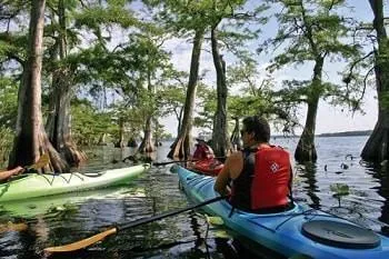 $84,900 | Tbd Chinaberry Street, Eustis, FL 32736