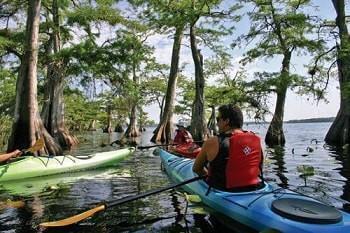 Tbd Chinaberry Street Eustis, FL 32736 - Photo 6 of 9 chinaberry5