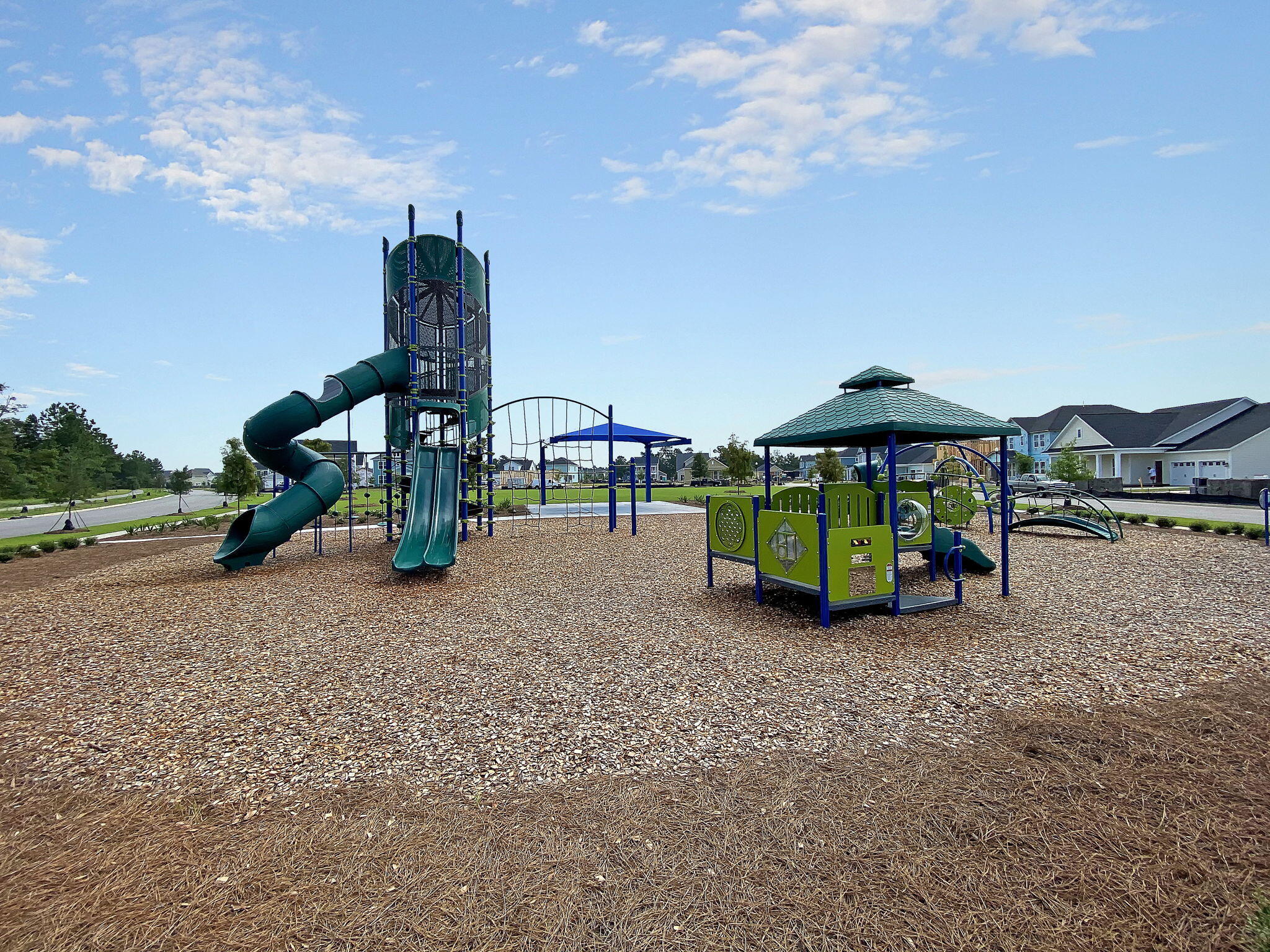 116 Backhurst Drive Summerville, SC 29486 - Photo 76 of 98 CREM_Carnes Crossroads - amenities_001