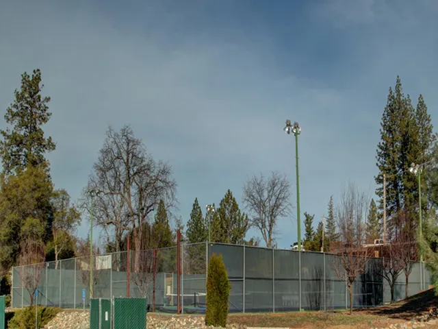 $559,000 | 20015 Pine Mountain Drive, Groveland, CA 95321