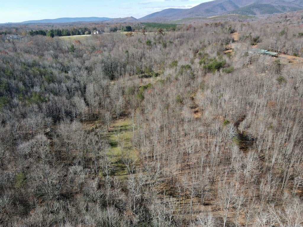 Old Mill Road Patrick Springs, VA 24133 - Photo 15 of 49 Gallery Image 15
