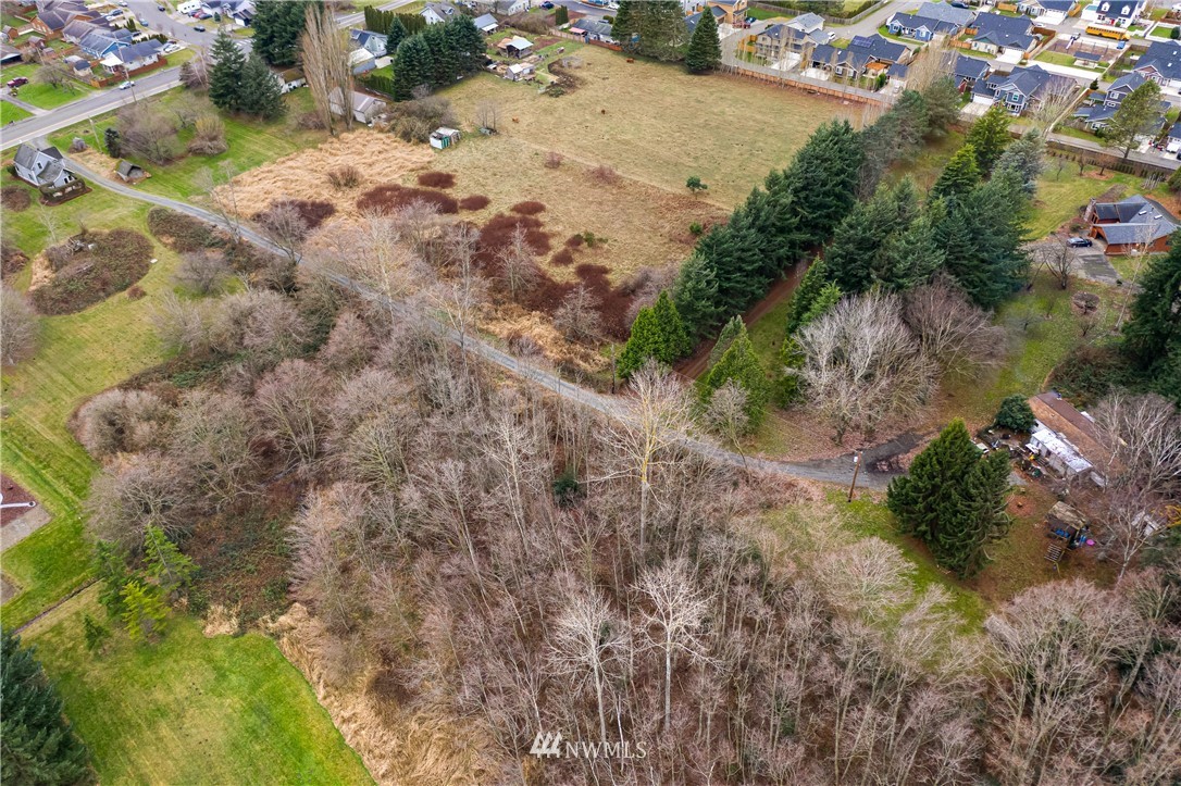 1810 Trigg Road Ferndale, WA 98248 - Photo 12 of 16 a view of a dry yard with plants and large trees