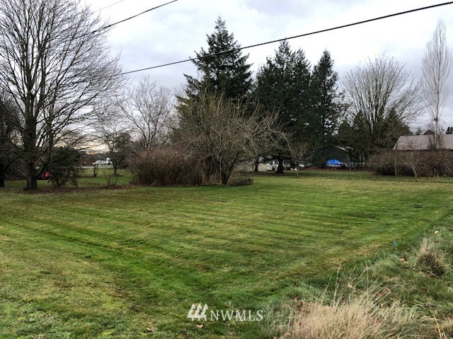 1810 Trigg Road Ferndale, WA 98248 - Photo 6 of 16 a view of a field of grass and trees