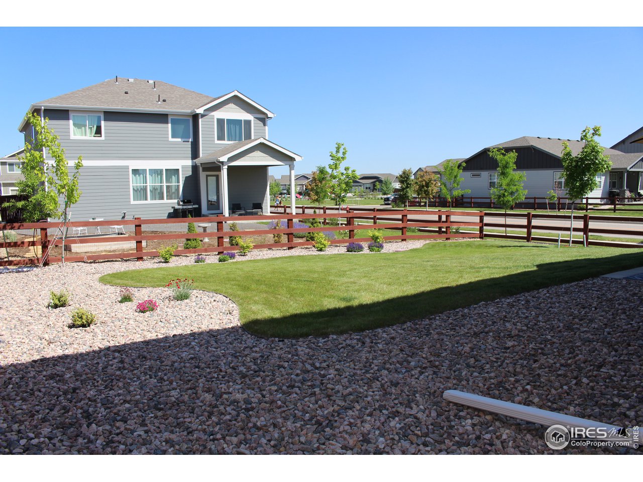 2137 Day Spring Drive Windsor, CO 80550 - Photo 29 of 39 a front view of a house with a yard