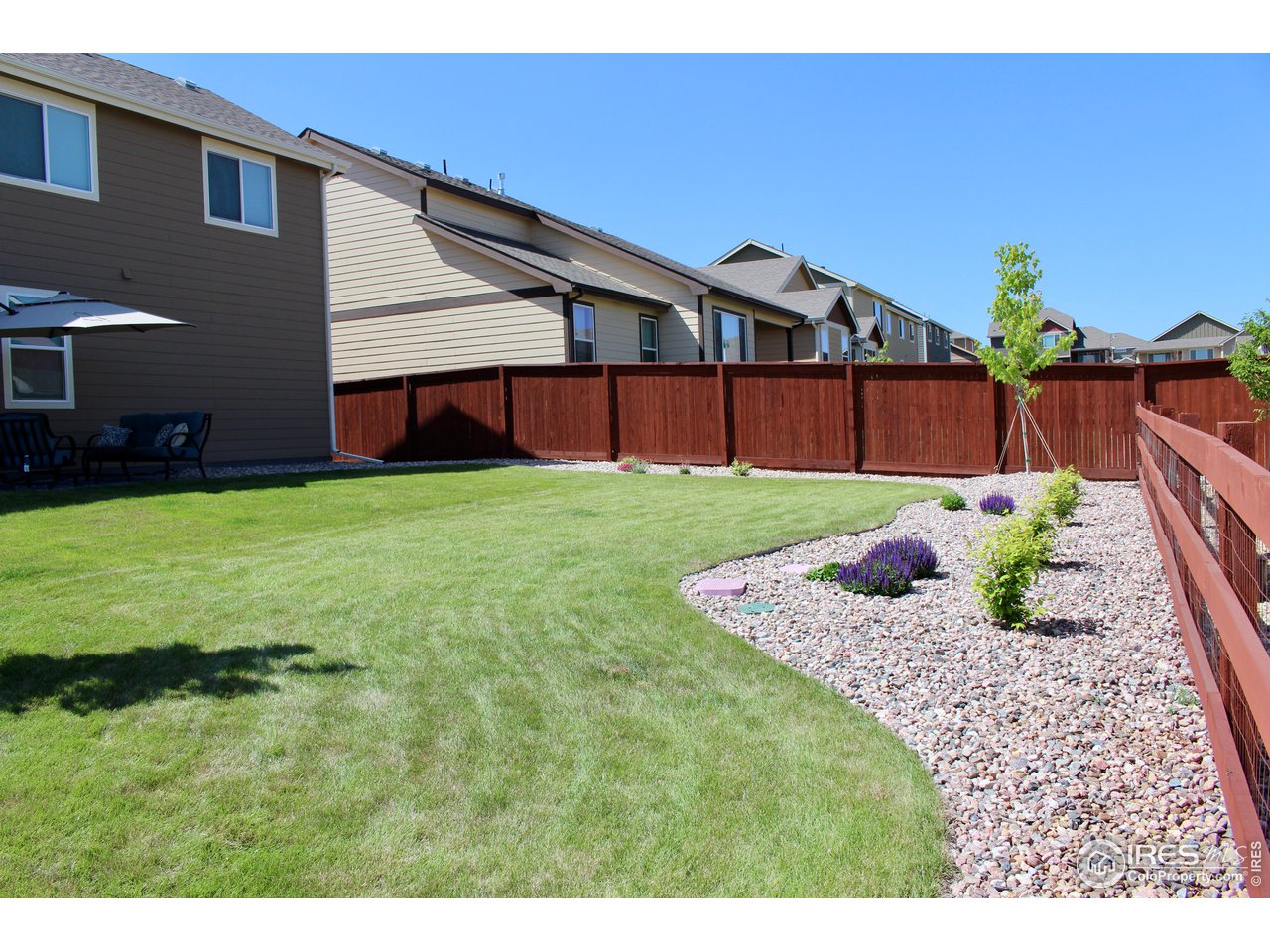 2137 Day Spring Drive Windsor, CO 80550 - Photo 30 of 39 a view of a back yard of the house