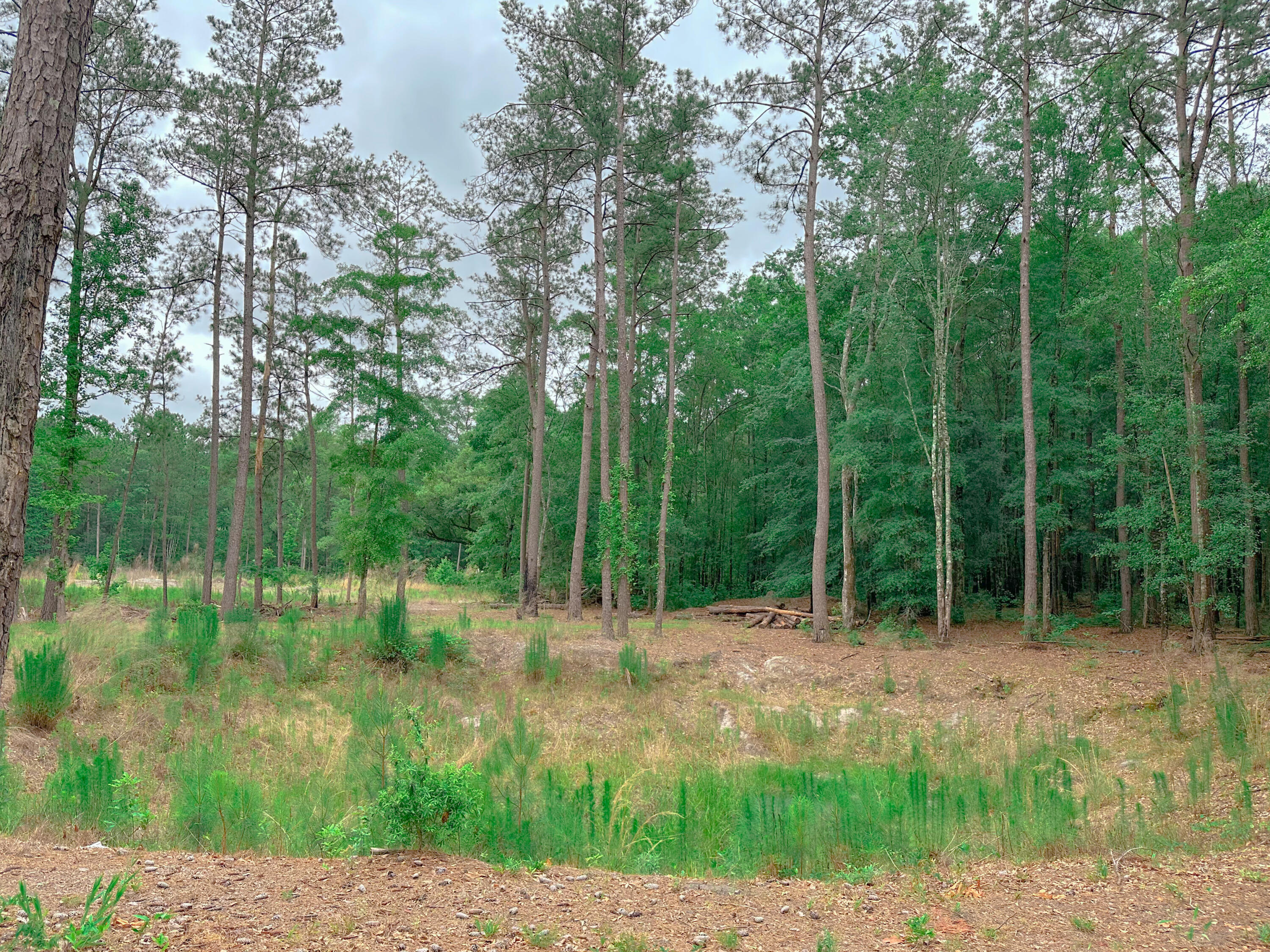 1745 Sandridge Road Dorchester, SC 29437 - Photo 55 of 59 680B2253-475F-471D-9EED-9D71FFB75E18
