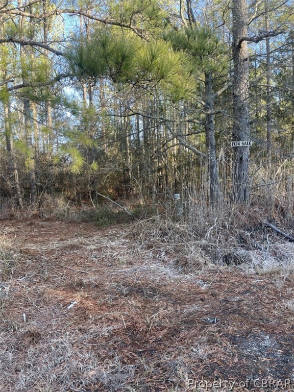 155-ac Bethel Beach Road Onemo, VA 23130 - Photo 6 of 15