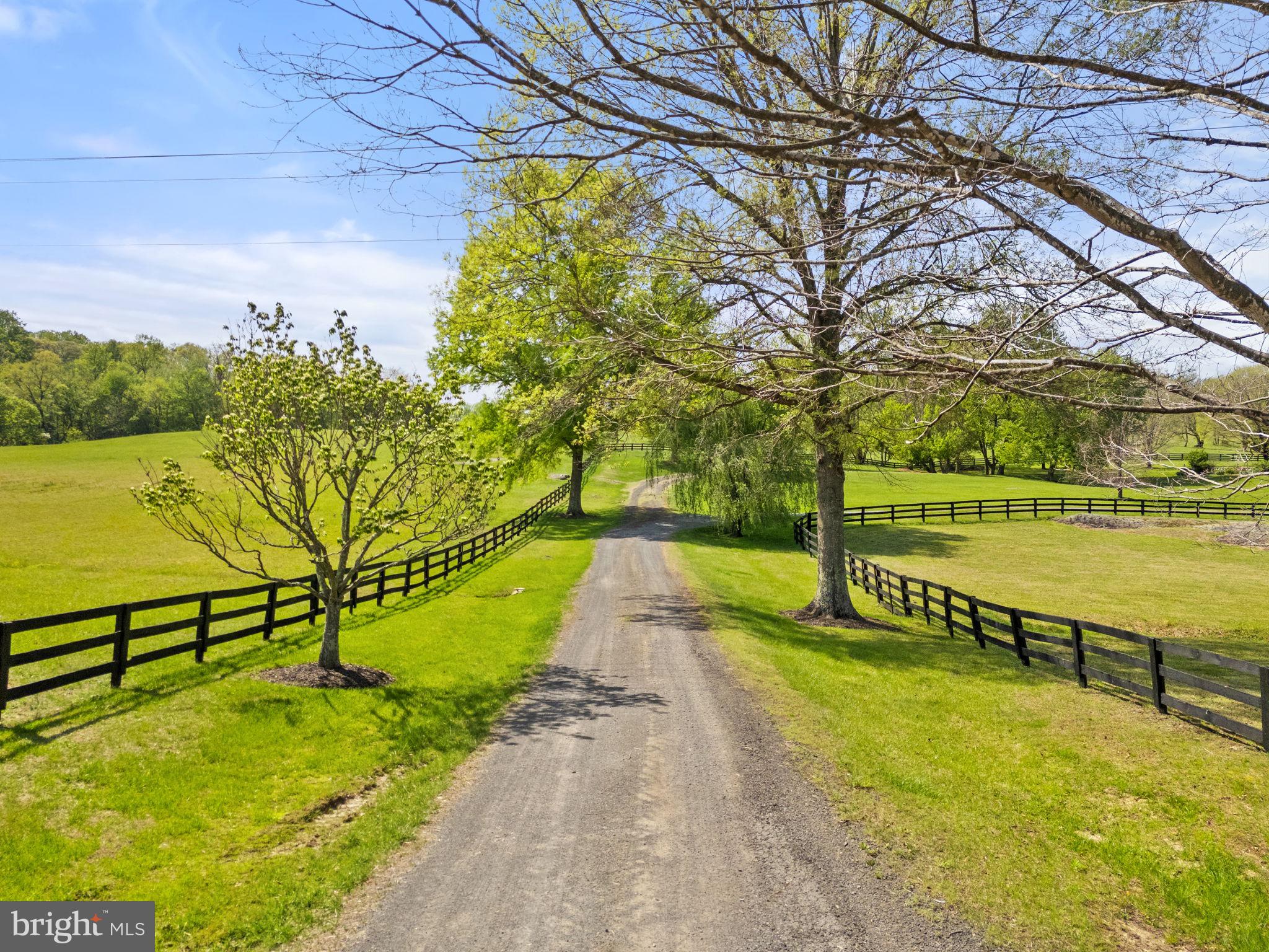 6370 John Barton Payne Road Marshall, VA 20115 - Photo 4 of 90