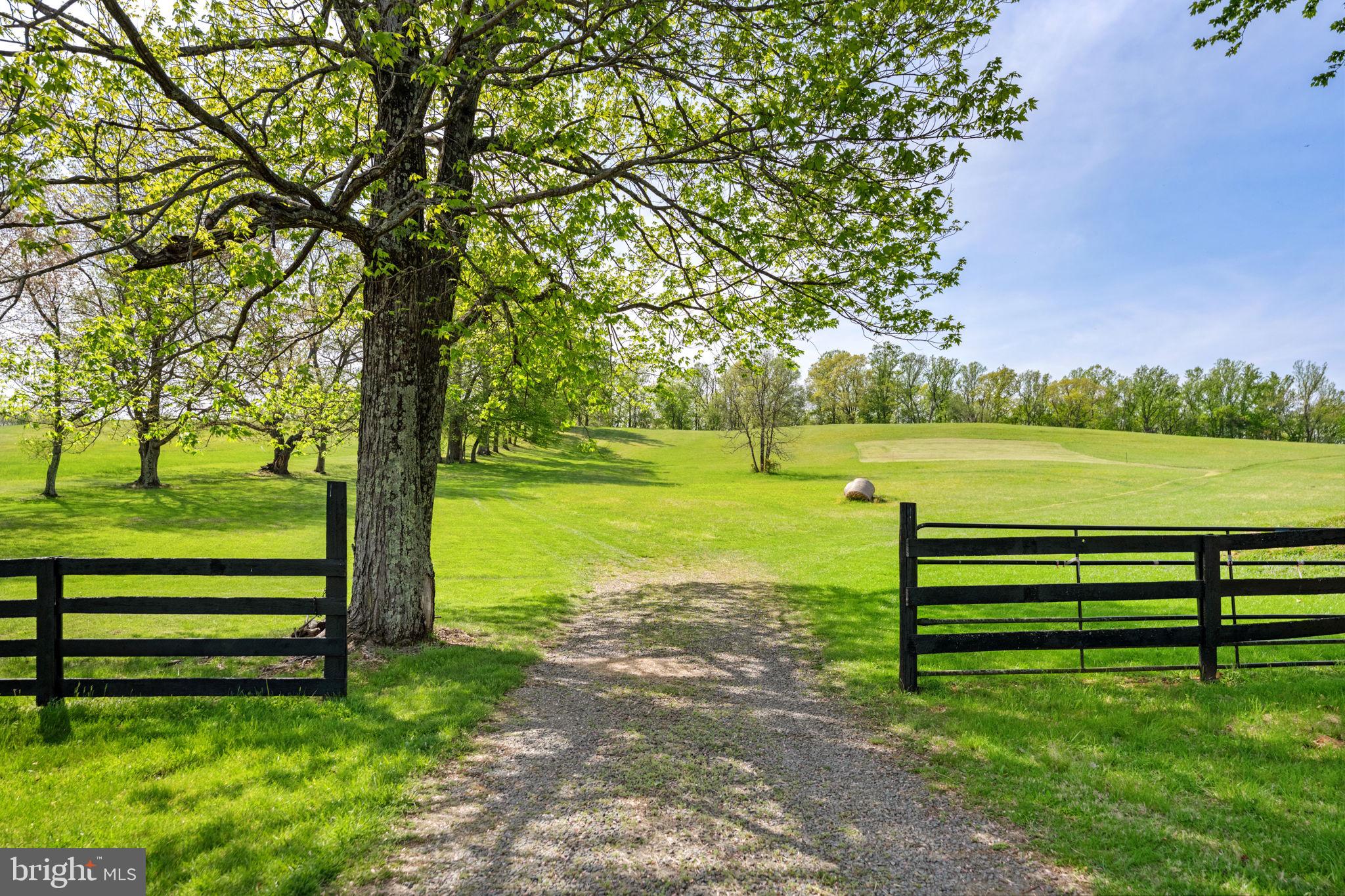 6370 John Barton Payne Road Marshall, VA 20115 - Photo 75 of 90