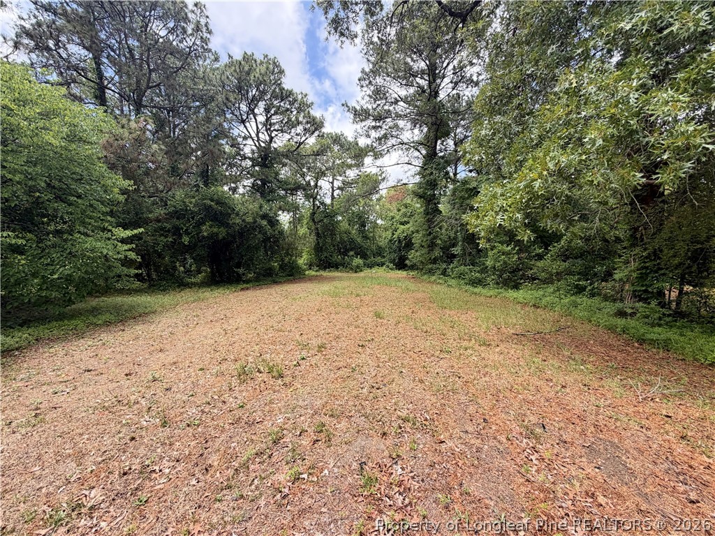 4120 Legion Road Hope Mills, NC 28348 - Photo 15 of 16