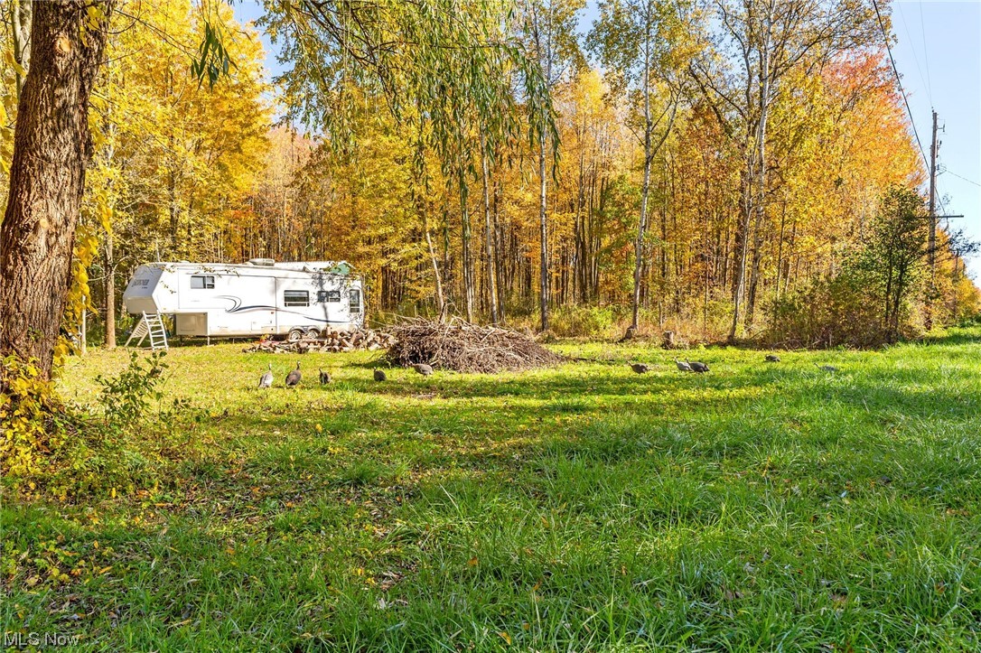 3589 Netcher Road Jefferson, OH 44047 - Photo 9 of 21 Camper