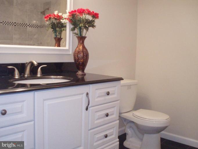 900 Laredo Road Silver Spring, MD 20901 - Photo 8 of 10 a bathroom with a toilet a sink and mirror