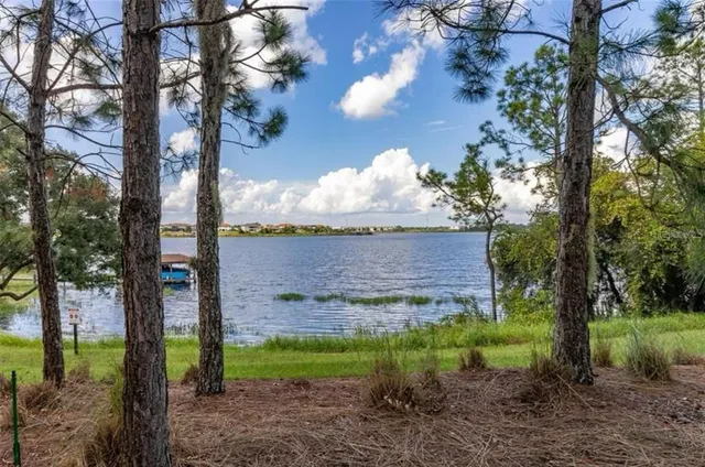 a view of a park with slide
