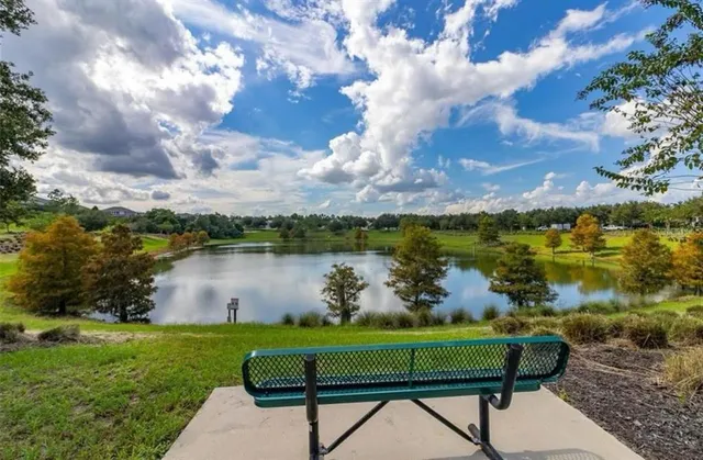 a view of a yard with palm trees