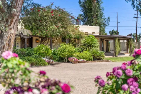 a view of a flowers in front of flower