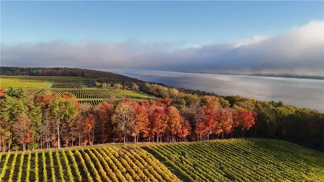 $1,420,000 | 2 Elm Road, Burdett, NY 14818