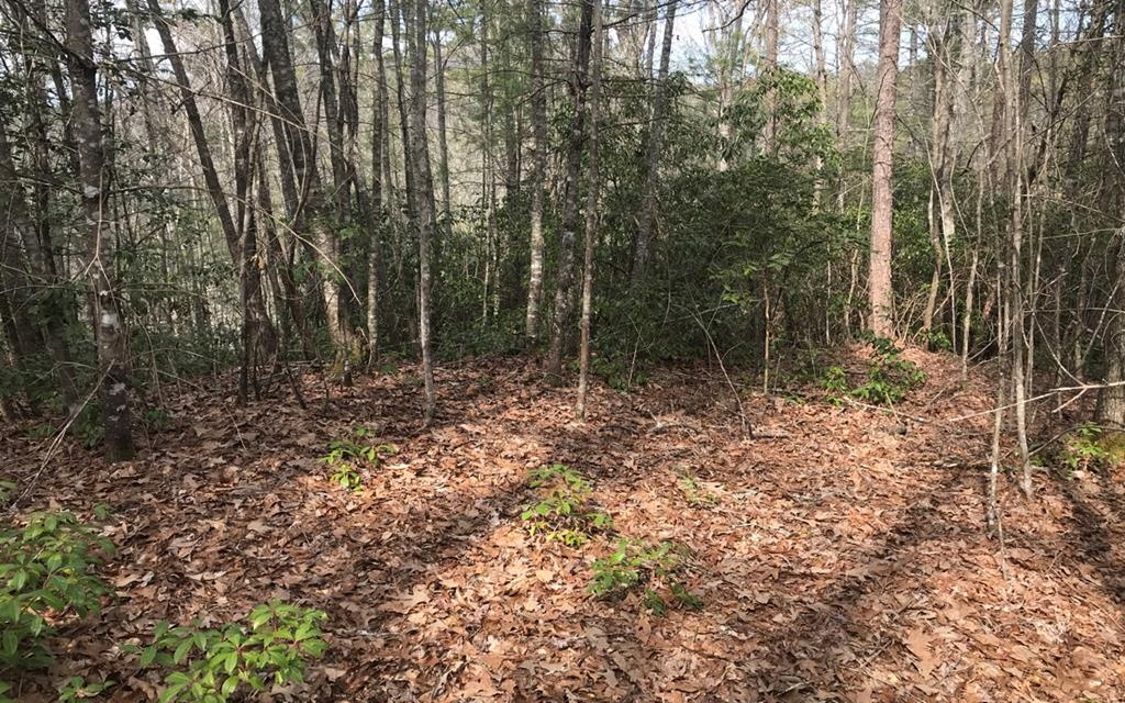 Nottley Ridge Road Murphy, NC 28906 - Photo 1 of 1 a backyard of a house with lots of green space