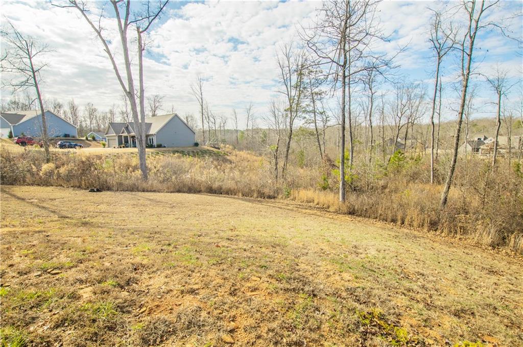 148 Chestnut Trail Commerce, GA 30529 - Photo 37 of 42