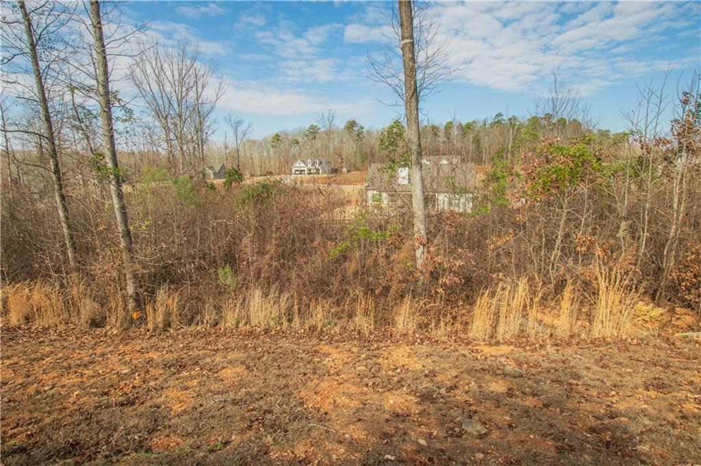 148 Chestnut Trail Commerce, GA 30529 - Photo 38 of 42